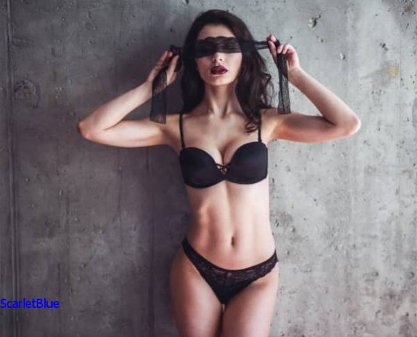 Insights into Professional Companion World image 2