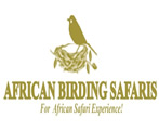 African Birding Journeys