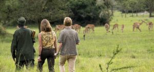 15 days Uganda wildlife safari